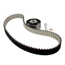 6670555 Kit Cinghia
