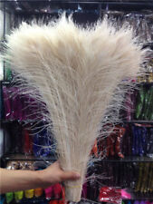 10-100 pezzi bellissimi occhi di piuma coda di pavone vera 16-18 pollici/40-45 cm 