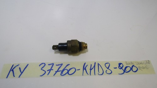 Bulbo termostato radiatore