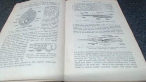 Animal biology - biology, (2nd