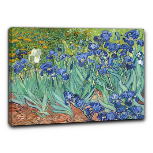 Niik quadro gli iris - niik,