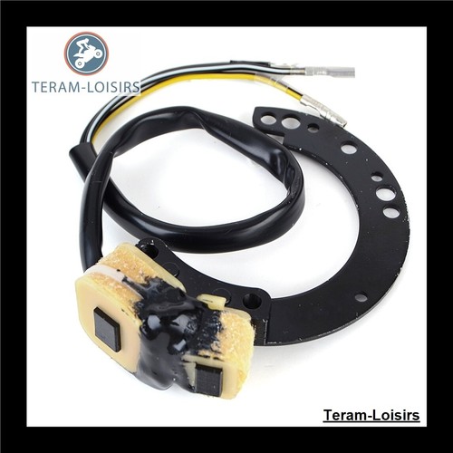 Statore alternatore per - statore,