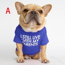 Vestiti estivi per cani gatti