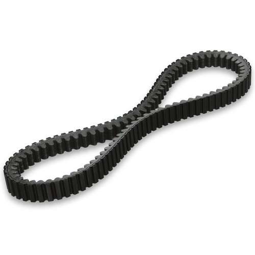 Cinghia interna variatore - cinghia,