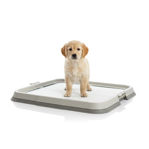 Aqpetfriends lettiera per cani - aqpetfriends,