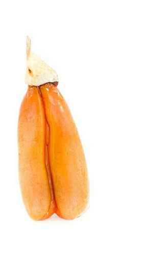 Bottarga della sardegna - bottarga,