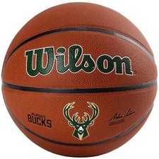 Wilson Pallone da Basket NBA