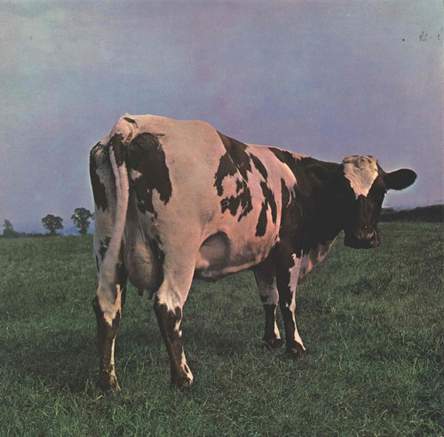 Pink floyd atom - floyd,