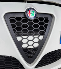 Mascherina Scudo Griglia nido