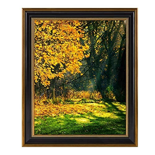 Cornice portafoto 16x20 oro