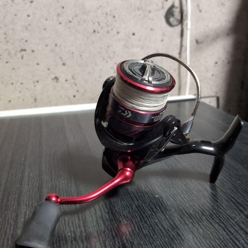 Mulinello spinning daiwa - spinning,
