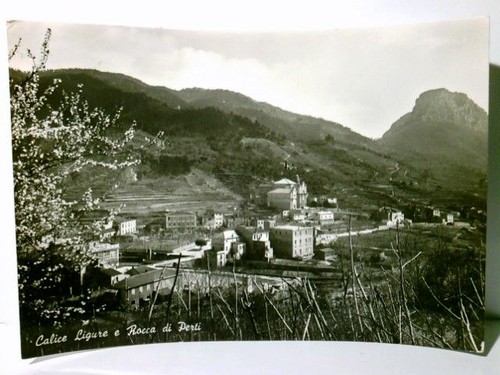 Calice ligure rocca di - e,