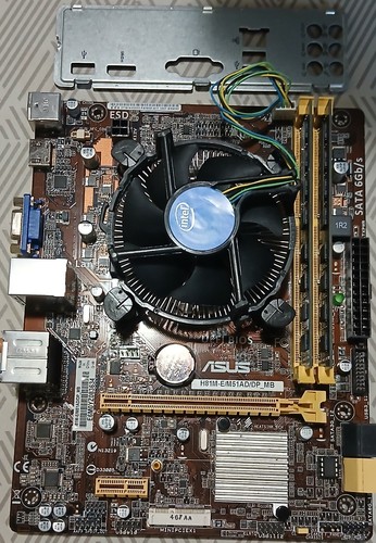 Scheda madre asus - scheda,