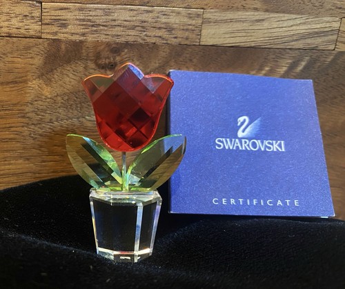 Fiore tulipano rosso in - di,