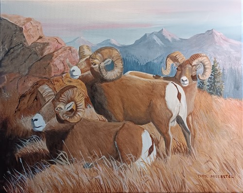 Dipinto olio originale - , fauna