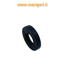 Paraolio anello tenuta x - paraolio, 12