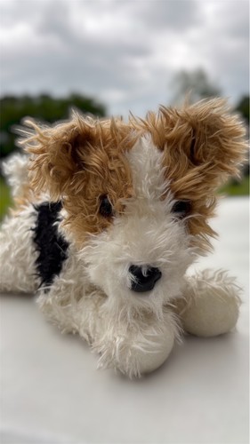 Raro peluche douglas wire fox - douglas,