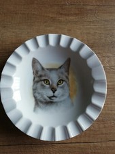 Schumann Arzberg Bavaria ciotola Piatto gatto Porcellana  cm 15 diametro vintage