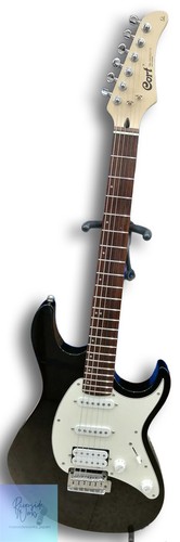 Chitarra elettrica per
