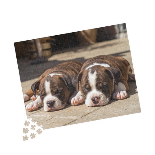 Puzzle pit bull addormentato - puzzle,