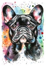 Acquerello bulldog francese nero dipinto a mano opera originale