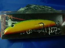 Artificiale Real Winner made