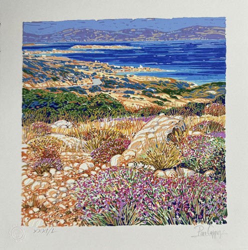 Cappugi pino serigrafia - -,