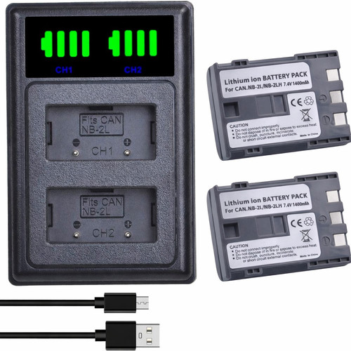 Batteria caricabatterie - 2x,