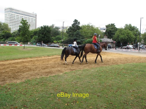 Photo 12x8 horse - 12x8, on