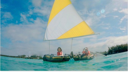 Sail kit for - tobin, pro