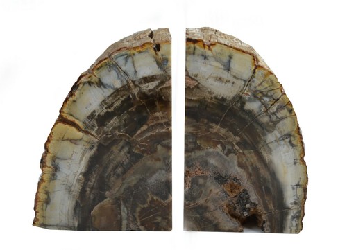 Fermalibri legno fossile - fermalibri, in