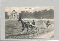 BABAU  - Cavalli - FAENZA Corse al trotto - 1911 - Campionato Europeo