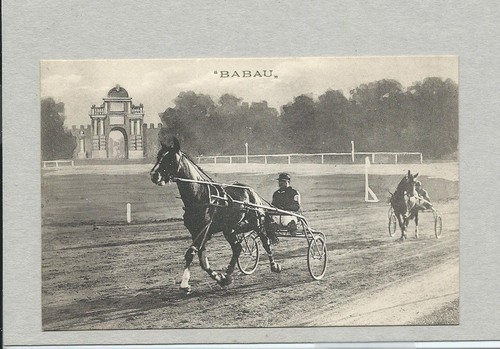 Babau cavalli faenza - -,