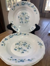 ARCOPAL VERONICA 9" BORDO