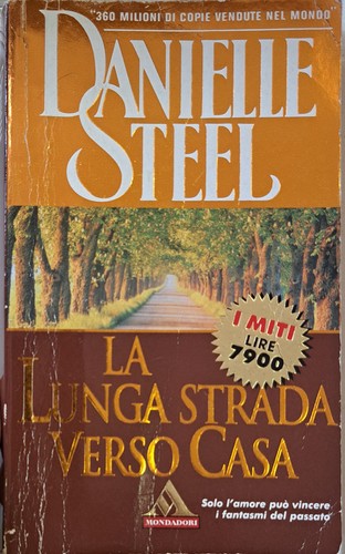 Lunga strada verso casa - lunga,