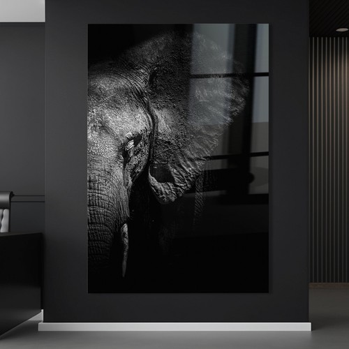 Quadro parete elefante - da,