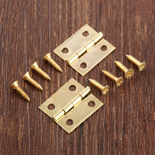 20x mini cerniera porta - 20x,