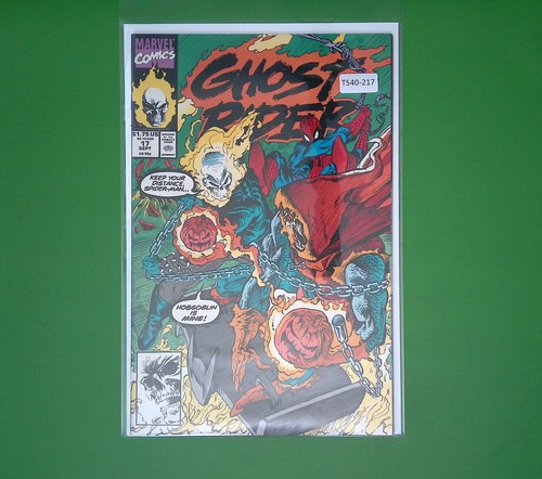 Ghost rider vol 3 - ghost, vol.