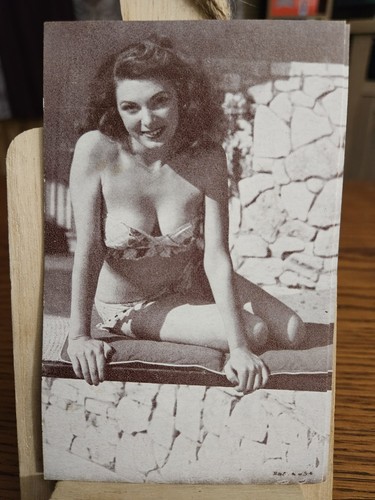 Bathing beauty bikini pin up - bathing, bikini,