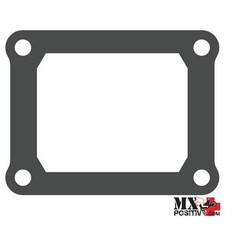 GUARNIZIONE PACCO LAMELLARE TM