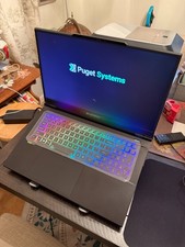PUGET SYS CLEVO C170-G 14900HX