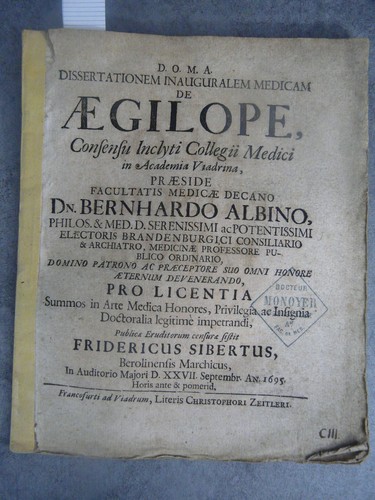 Fredericus sibertus aegilope - fredericus,