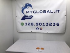 Coppia gemme frecce anteriore