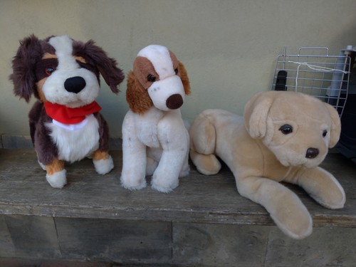 Lotto peluche stuffed - stuffed, toy