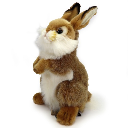 Peluche coniglio cm - coniglio,