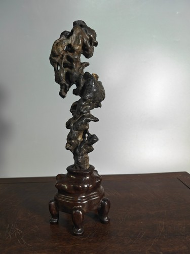 11145 bellissimo bonsai - #11145.bellissimo,