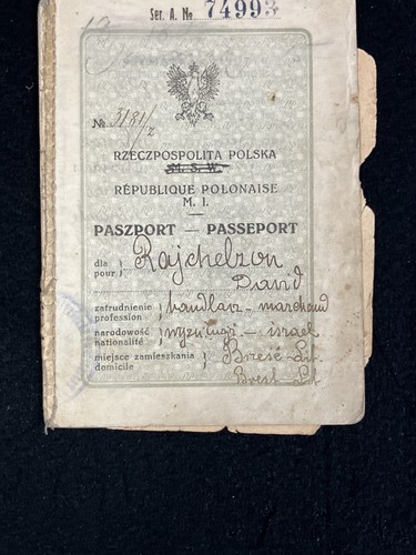 Antico passaporto polonia 1920 - antico,