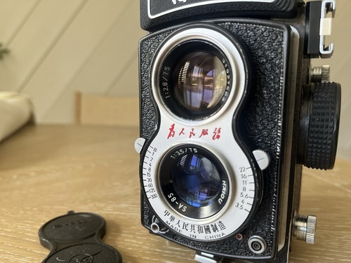 Vintage seagull 103 75 - vintage, 4a-103