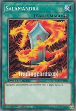 Yu-Gi-Oh! [SD] Salamandra : C