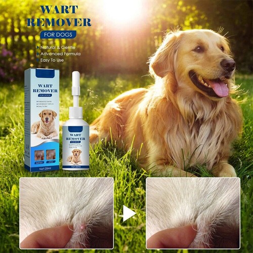2pcs etichette naturali - 1/2pcs, per